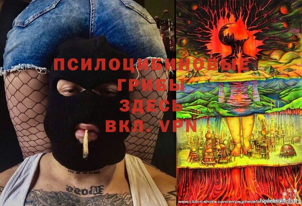 крисы Алексеевка