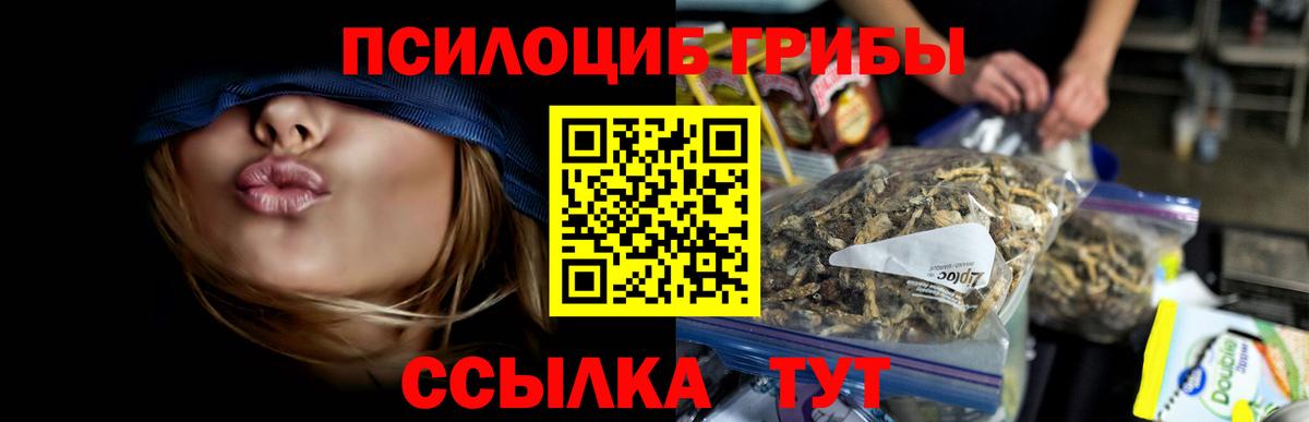 магазин    Галлюциногенные грибы Psilocybine cubensis  Вход с VPN  Тюмень 